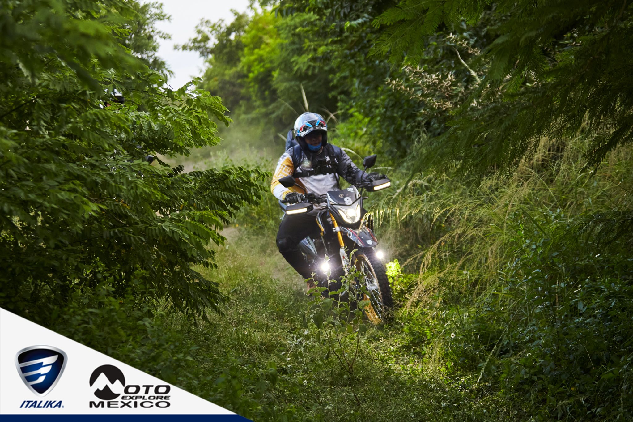 ITALIKA CHACHALACAS D1 393